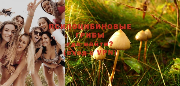 марихуана Новозыбков