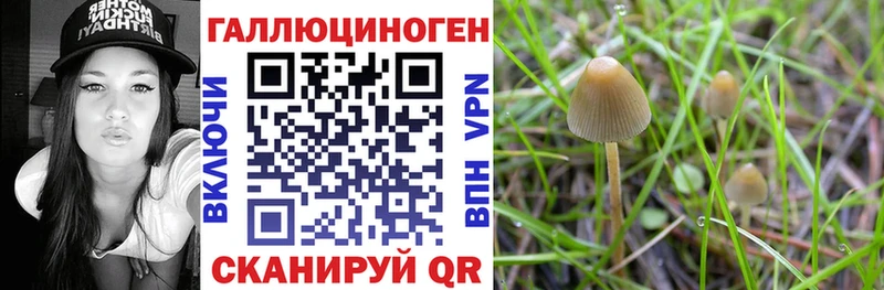 Псилоцибиновые грибы ЛСД  Никольское 